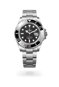 Sea-Dweller Oyster, 43 mm, Oystersteel