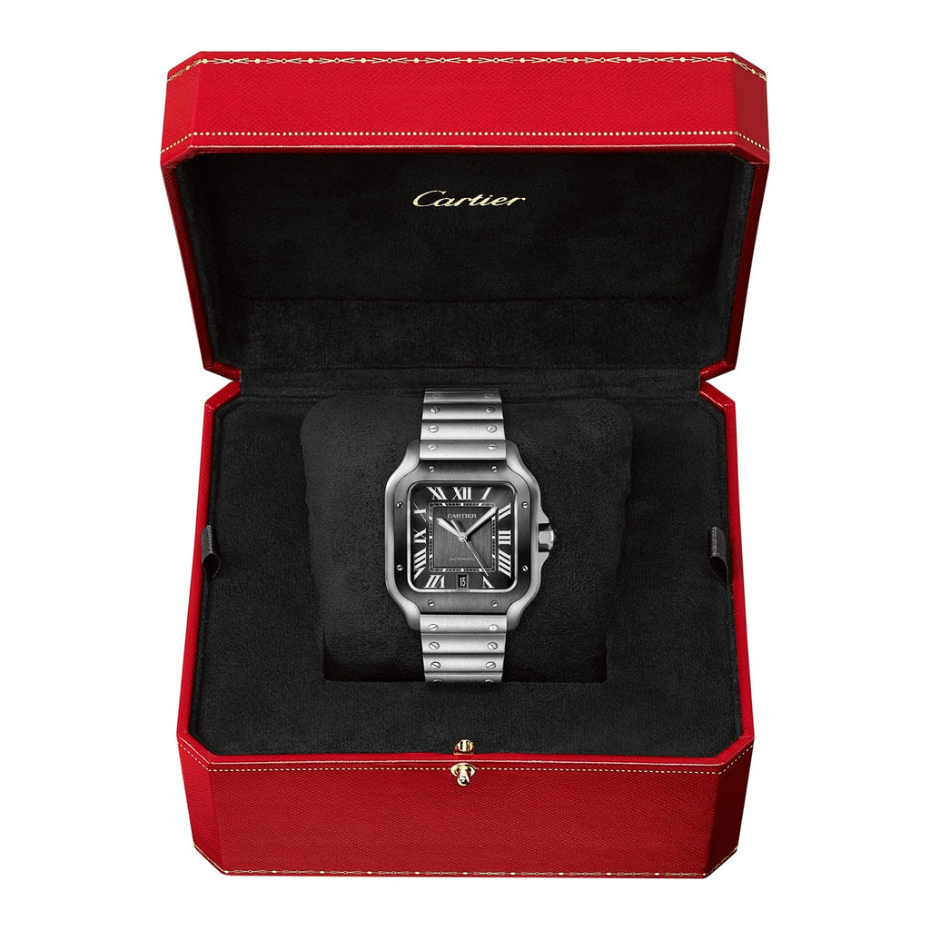 Santos De Cartier Watch Large Model, Automatic Movement, Steel, ADLC, Interchangeable Metal And Rubber Bracelets