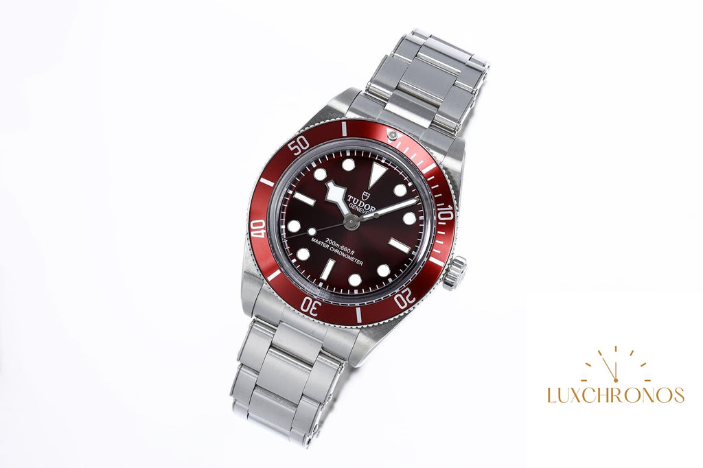 Tudor Black Bay